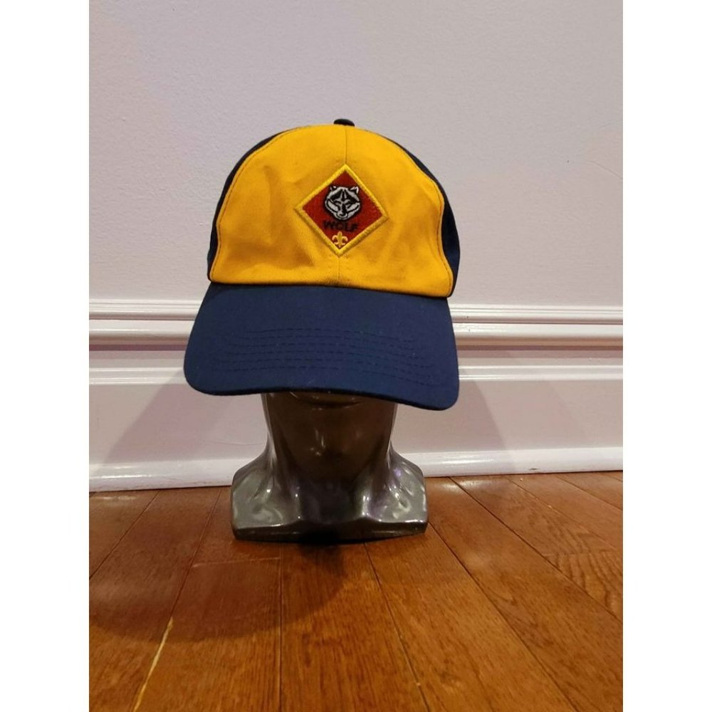 Boy scouts hat